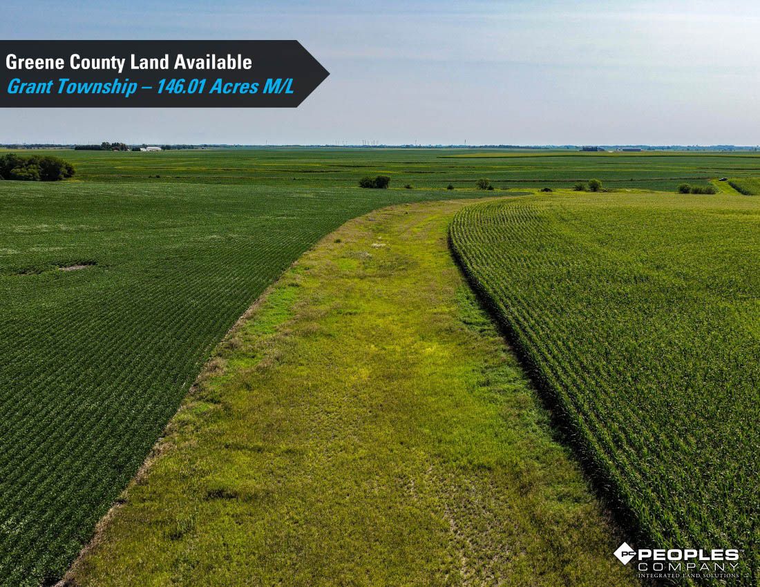 Listing Photo: Greene-County-Iowa-Farmland-Available-146-Acres-19686-Jefferson (17)